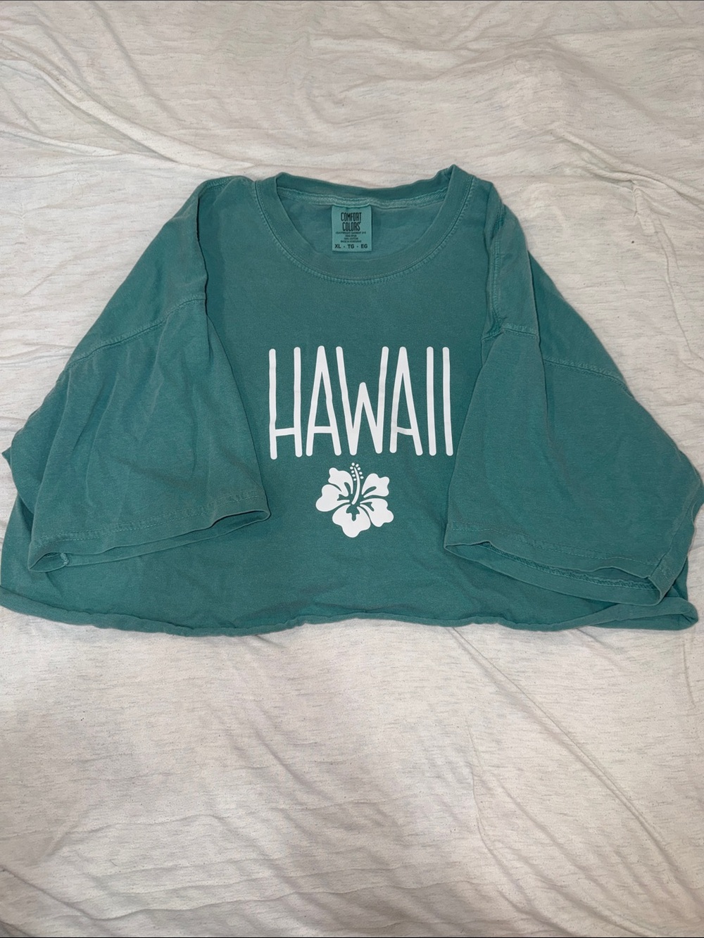 NWOT Sunkissed Coconut Hawaii Cropped Tee